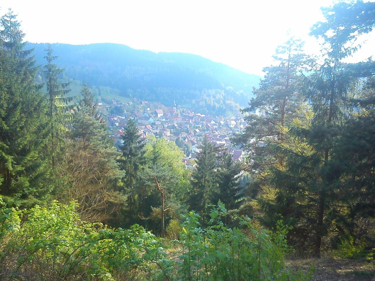 Landhaus Lautenthal Exterior photo